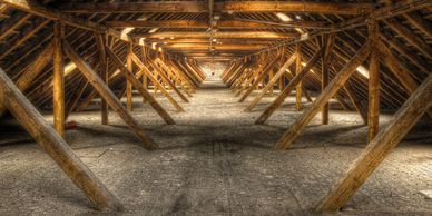clean attic without insulation following insulation removal service