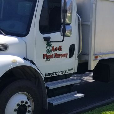 plants, trees, mulch, fill dirt