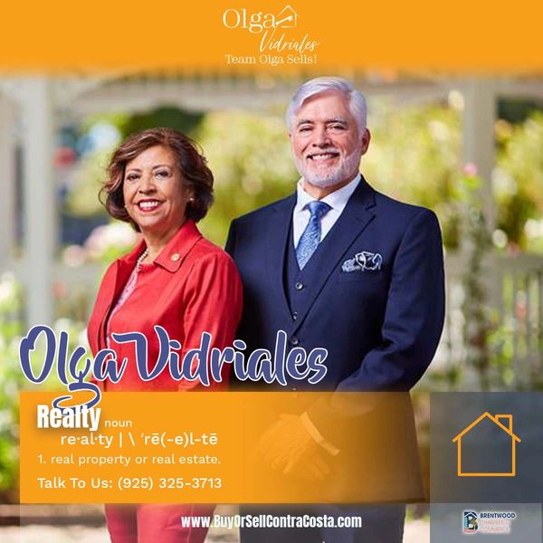 Team Olga Sells Design