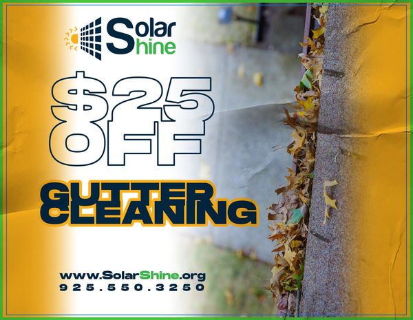 Solar Shine Flyer