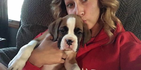 Woman kissing and holding a Boxer puppy.