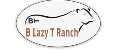 B Lazy T Ranch Hot Springs, SD