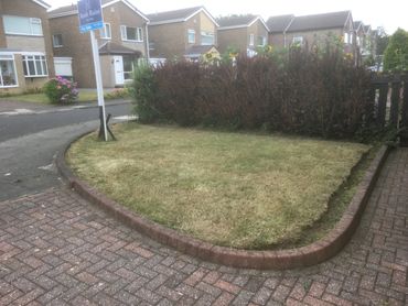 grass after it has been cut