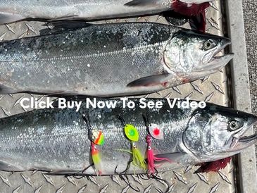 versatility allows you to target many species, Salmon, Steelhead, Trout, Kokanee, Walleye...