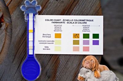 Urinary Tract Infection home-test for Dogs and Cats