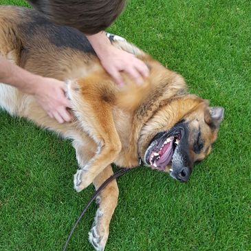 Zoe getting some love from Cooper Burton in South Phoenix