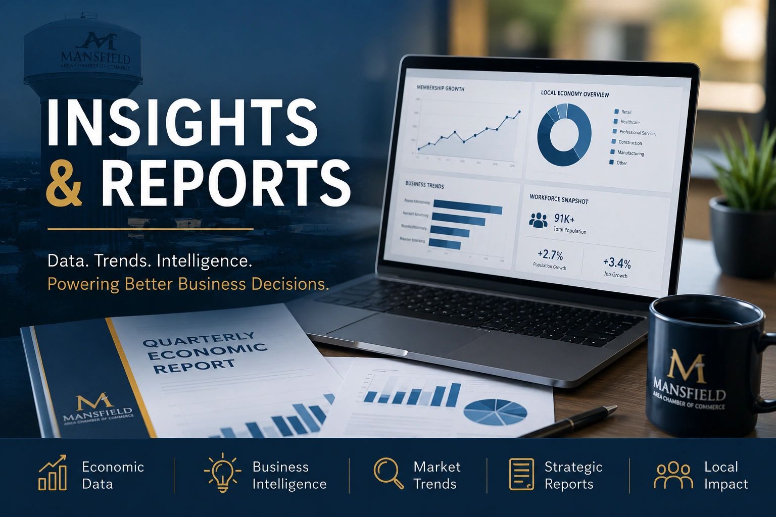 Insights and Reports