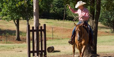 Sorrel Ranch Versatility Show Horse