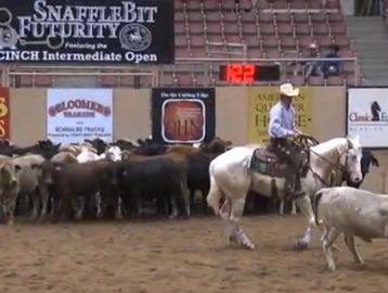 Casper is AQHA & FQHA