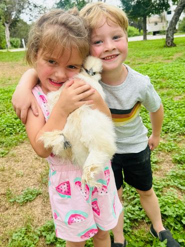 Kids loving on the chickens at Cedar Bend RV Park Bertram Texas