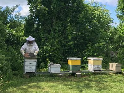 Managing Hives