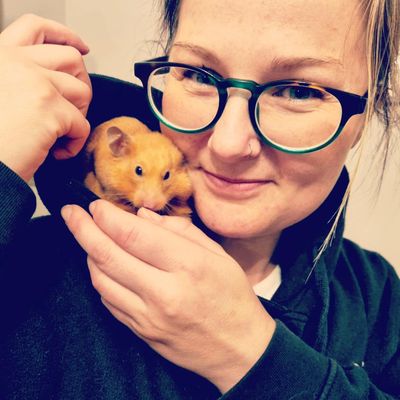 Syrian hamster sitting on shoulder of woman