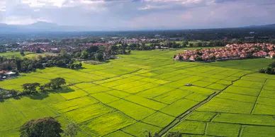 Lush open farmland located in Willows, Northern California.