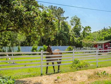 A view of a farm with a horse standing near a fence