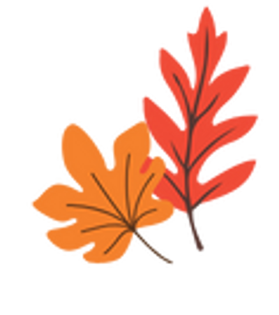 illustration of autumn leaves