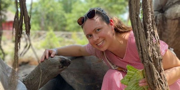 A woman in a pink dress smiles while petting a large tortoise and holding leafy greens.
