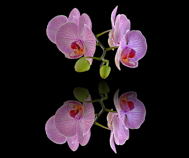 Gallery, art, funky, chic, functional, luxury, designer, artisan, jewelry, accessories, decor, gifts