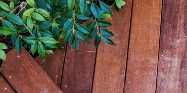 Wooden deck stairs surrounded by green plants in a garden.