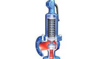 Safety Valves