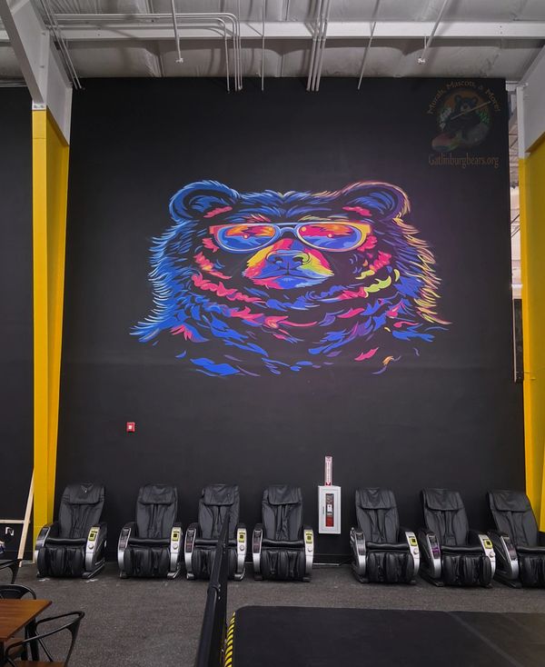Slick City Pigeon Forge,TN colorful bear mural