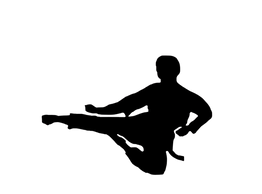 Silhouette of a person performing a high karate kick.