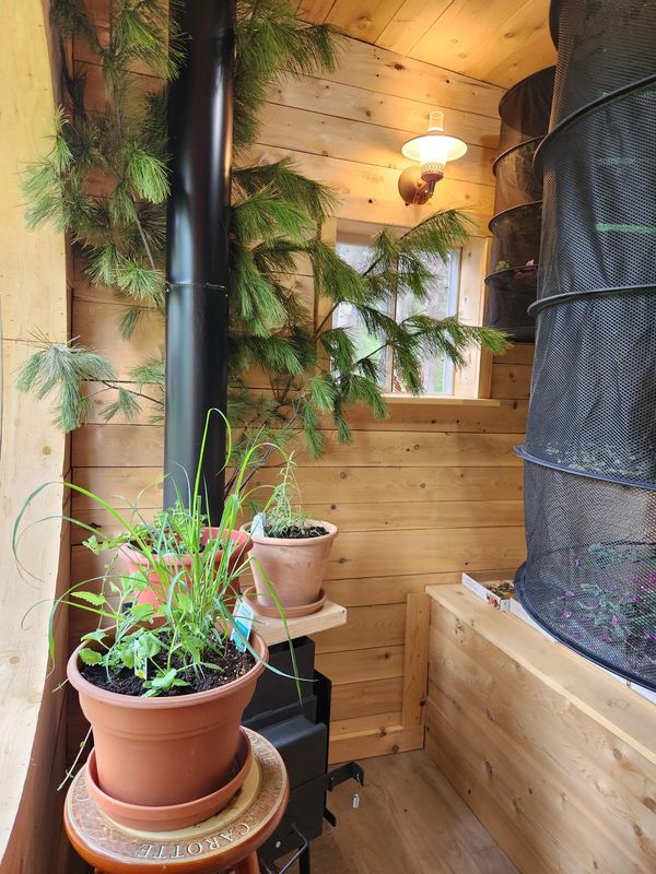 Indoor wooden garden shed with potted plants and a wood stove.
