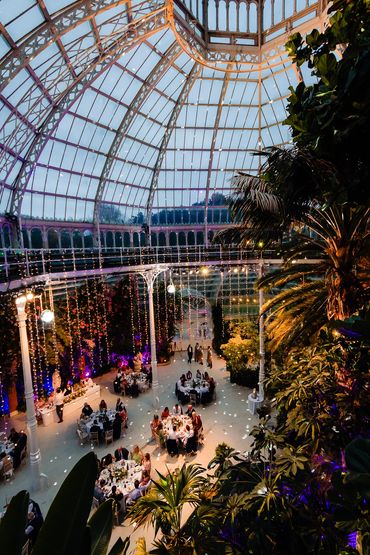 Evening reception at Sefton Palm House with purple uplighting and botanical table centrepieces