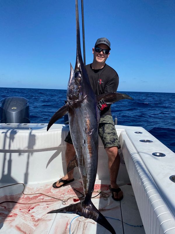 Swordfish