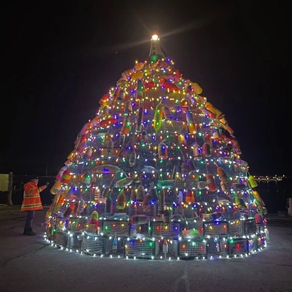 The Barrington Lobster Trap Christmas Tree!