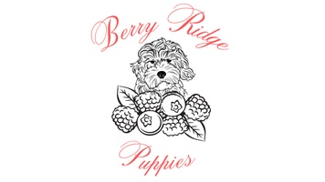 Berry Ridge Puppies