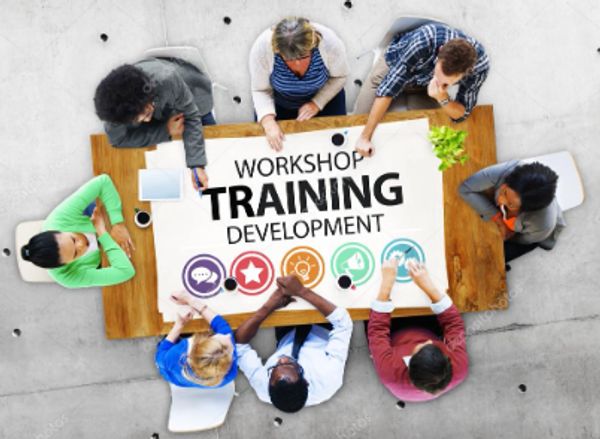 Group attending a workshop on training and development.