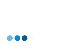 Blue HR Consulting