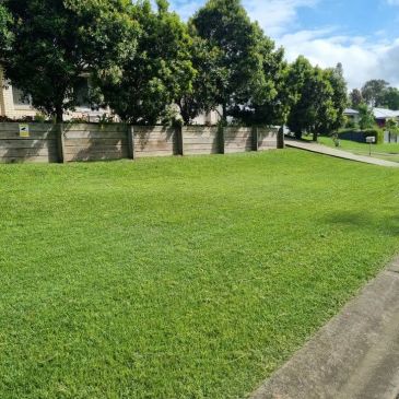 Well-maintained green lawn with trees and a fence in the background.