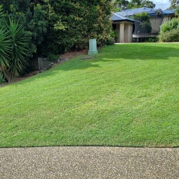 Green lawn with shrubs and a small building in the background.