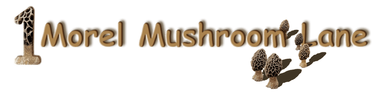 1 Morel Mushroom Lane