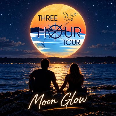 Couple holds hands by moonlit water with tour advertisement.