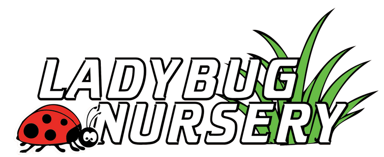 Ladybug Nursery