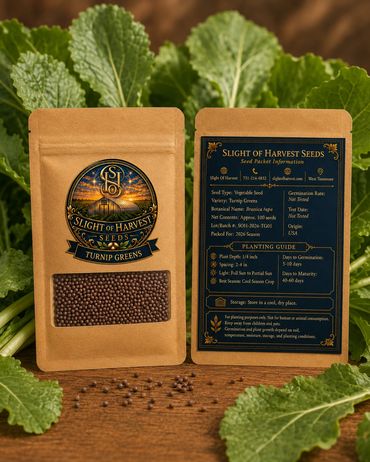 Turnip Green Seeds
Item No.: TG04