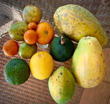 Variety of tropical fruits including papayas, avocados, and citrus on a glass table.