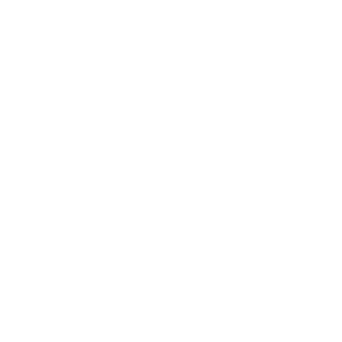 AJV Consulting