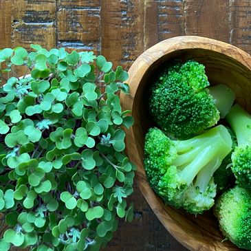 young broccoli microgreens and mature broccoli florets
