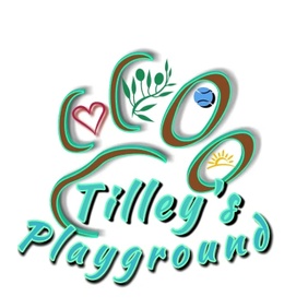 Tilley's Playground