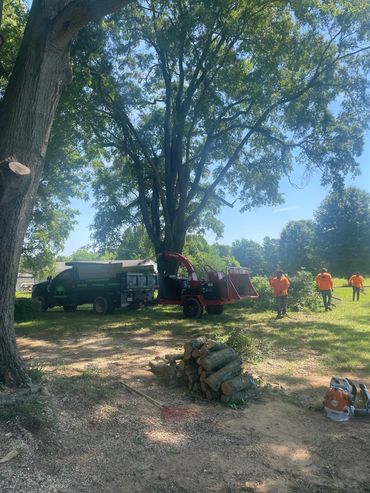 Full tree service complete with wood chipper