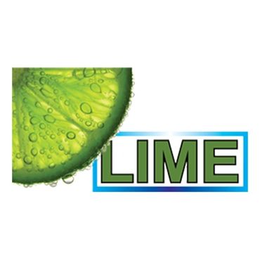 Logo Design - Lime