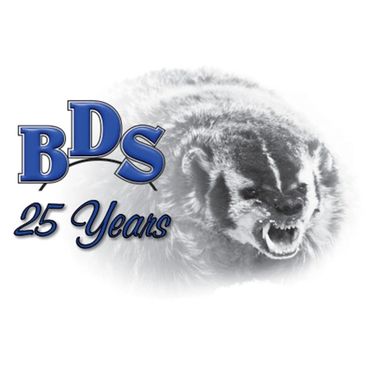 Logo Design - BDS