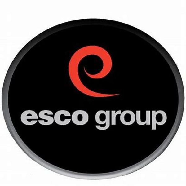 Esco group logo