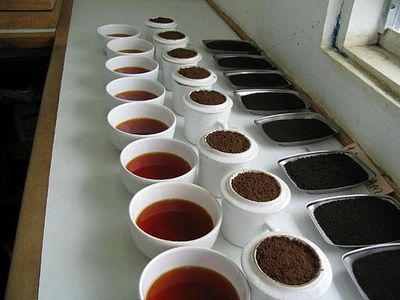 Snipped from wikipedia
https://en.wikipedia.org/wiki/Coffee_cupping
