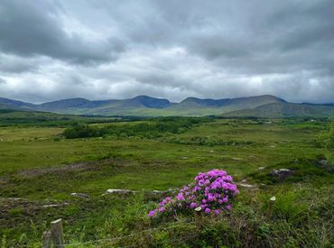 Ireland, Irish, travel, tourism, Derrynane, Doire Fhíonáin