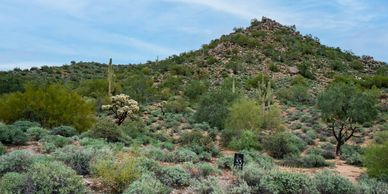 Gold Canyon, Arizona - Custom Homesite - Pasion En La Colina Del Cascabel - Gated Community