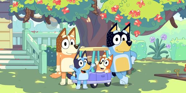 Bluey
For real life.
Bluey is a loveable, inexhaustible six year-old Blue Heeler dog, who loves to